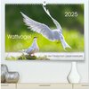 Buchcover Wattvögel an der Friesischen IJsselmeerküste (hochwertiger Premium Wandkalender 2025 DIN A2 quer), Kunstdruck in Hochgla