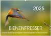 Buchcover Bienenfresser, unsere farbenprächtigsten Sommergäste in Deutschland (Wandkalender 2025 DIN A2 quer), CALVENDO Monatskale