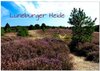 Buchcover Lüneburger Heide (Wandkalender 2025 DIN A2 quer), CALVENDO Monatskalender