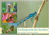 Buchcover Farbenpracht der Insekten (Tischkalender 2025 DIN A5 quer), CALVENDO Monatskalender