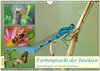 Buchcover Farbenpracht der Insekten (Wandkalender 2025 DIN A4 quer), CALVENDO Monatskalender