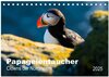 Buchcover PAPAGEIENTAUCHER - Clowns der Nordmeere (Tischkalender 2025 DIN A5 quer), CALVENDO Monatskalender