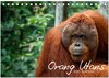 Buchcover Orang Utans von Borneo Tierkalender 2025 (Tischkalender 2025 DIN A5 quer), CALVENDO Monatskalender