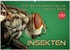 Buchcover Die geheimnisvolle Welt der Insekten (Wandkalender 2025 DIN A2 quer), CALVENDO Monatskalender