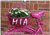 Buchcover MIA - Namenskalender (Wandkalender 2025 DIN A3 quer), CALVENDO Monatskalender