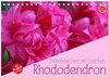 Buchcover Rhododendron Schönheiten im Garten (Tischkalender 2025 DIN A5 quer), CALVENDO Monatskalender
