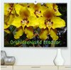 Buchcover Orchideenland Ecuador (hochwertiger Premium Wandkalender 2025 DIN A2 quer), Kunstdruck in Hochglanz