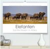 Buchcover Elefanten - Sanfte Riesen in Afrika (hochwertiger Premium Wandkalender 2025 DIN A2 quer), Kunstdruck in Hochglanz
