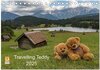 Buchcover Travelling Teddy 2025 (Tischkalender 2025 DIN A5 quer), CALVENDO Monatskalender