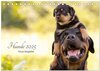 Buchcover Hunde 2025 - Treue Begleiter (Tischkalender 2025 DIN A5 quer), CALVENDO Monatskalender