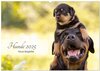 Buchcover Hunde 2025 - Treue Begleiter (Wandkalender 2025 DIN A2 quer), CALVENDO Monatskalender