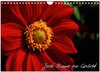 Buchcover Jede Blume ein Gedicht (Wandkalender 2025 DIN A4 quer), CALVENDO Monatskalender