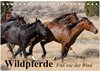 Buchcover Wildpferde. Frei wie der Wind (Tischkalender 2025 DIN A5 quer), CALVENDO Monatskalender