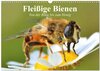 Buchcover Fleißige Bienen. Von der Blüte bis zum Honig (Wandkalender 2025 DIN A3 quer), CALVENDO Monatskalender