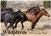 Buchcover Wildpferde. Frei wie der Wind (Wandkalender 2025 DIN A3 quer), CALVENDO Monatskalender