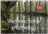 Buchcover Wunderschöner Spreewald (Wandkalender 2025 DIN A4 quer), CALVENDO Monatskalender