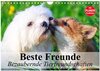 Buchcover Beste Freunde. Bezaubernde Tierfreundschaften (Wandkalender 2025 DIN A4 quer), CALVENDO Monatskalender