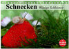 Buchcover Schnecken. Witzige Schleimer (Tischkalender 2025 DIN A5 quer), CALVENDO Monatskalender