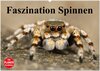 Buchcover Faszination Spinnen (Wandkalender 2025 DIN A2 quer), CALVENDO Monatskalender