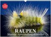 Buchcover Raupen. Skurrile Verwandlungskünstler (Wandkalender 2025 DIN A3 quer), CALVENDO Monatskalender