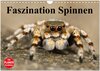 Buchcover Faszination Spinnen (Wandkalender 2025 DIN A4 quer), CALVENDO Monatskalender