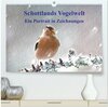 Buchcover Schottlands Vogelwelt - Ein Porträt in Zeichnungen (hochwertiger Premium Wandkalender 2025 DIN A2 quer), Kunstdruck in H