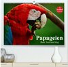 Buchcover Papageien. Bunt, laut und klug (hochwertiger Premium Wandkalender 2025 DIN A2 quer), Kunstdruck in Hochglanz