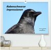 Buchcover Rabenschwarze Impressionen - meike-ajo-dettlaff.de via wildvogelhlfe.org (hochwertiger Premium Wandkalender 2025 DIN A2 