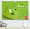 Buchcover Frosch müsste man sein! (hochwertiger Premium Wandkalender 2025 DIN A2 quer), Kunstdruck in Hochglanz