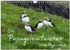 Buchcover Die Papageientaucher von Mykines (Wandkalender 2025 DIN A4 quer), CALVENDO Monatskalender