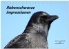 Buchcover Rabenschwarze Impressionen - meike-ajo-dettlaff.de via wildvogelhlfe.org (Tischkalender 2025 DIN A5 quer), CALVENDO Mona