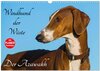 Buchcover Windhund der Wüste - Der Azawakh (Wandkalender 2025 DIN A3 quer), CALVENDO Monatskalender
