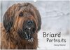 Buchcover Briard Portraits (Wandkalender 2025 DIN A3 quer), CALVENDO Monatskalender