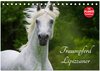 Buchcover Traumpferd Lipizzaner (Tischkalender 2025 DIN A5 quer), CALVENDO Monatskalender