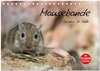 Buchcover Mausebande (Tischkalender 2025 DIN A5 quer), CALVENDO Monatskalender