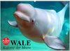 Buchcover Wale. Kolosse der Meere (Wandkalender 2025 DIN A2 quer), CALVENDO Monatskalender