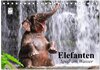 Buchcover Elefanten. Spaß am Wasser (Tischkalender 2025 DIN A5 quer), CALVENDO Monatskalender