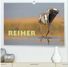 Buchcover Reiher - Der Tanz auf dem Wasser (hochwertiger Premium Wandkalender 2025 DIN A2 quer), Kunstdruck in Hochglanz