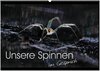 Buchcover Unsere Spinnen - im Gespräch (Wandkalender 2025 DIN A2 quer), CALVENDO Monatskalender