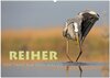 Buchcover Reiher - Der Tanz auf dem Wasser (Wandkalender 2025 DIN A2 quer), CALVENDO Monatskalender
