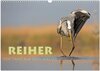 Buchcover Reiher - Der Tanz auf dem Wasser (Wandkalender 2025 DIN A3 quer), CALVENDO Monatskalender