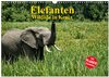 Buchcover Elefanten . Wildlife in Kenia (Wandkalender 2025 DIN A3 quer), CALVENDO Monatskalender
