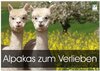 Buchcover Alpakas zum Verlieben (Wandkalender 2025 DIN A2 quer), CALVENDO Monatskalender