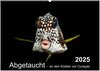 Buchcover Abgetaucht - an den Küsten vor Curaçao (Wandkalender 2025 DIN A2 quer), CALVENDO Monatskalender