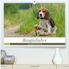 Buchcover Beaglebabys auf Entdeckungstour (hochwertiger Premium Wandkalender 2025 DIN A2 quer), Kunstdruck in Hochglanz