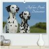 Buchcover Auf den Punkt - Dalmatiner (hochwertiger Premium Wandkalender 2025 DIN A2 quer), Kunstdruck in Hochglanz
