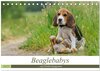 Buchcover Beaglebabys auf Entdeckungstour (Tischkalender 2025 DIN A5 quer), CALVENDO Monatskalender