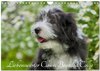 Buchcover Liebenswerter Clown Bearded Collie (Wandkalender 2025 DIN A4 quer), CALVENDO Monatskalender