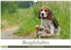 Buchcover Beaglebabys auf Entdeckungstour (Wandkalender 2025 DIN A3 quer), CALVENDO Monatskalender
