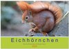Buchcover Eichhörnchen - Kleine Kobolde im Roten Pelz (Wandkalender 2025 DIN A2 quer), CALVENDO Monatskalender